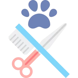 רחצה וטיפוח